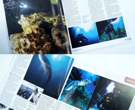 Will APpleyard dives Mexico