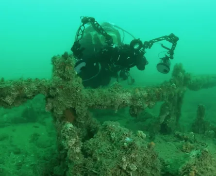 The One Show - Downed German Bomber, Lulworth
